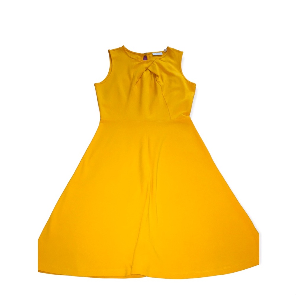 New York & Company Skater Dress